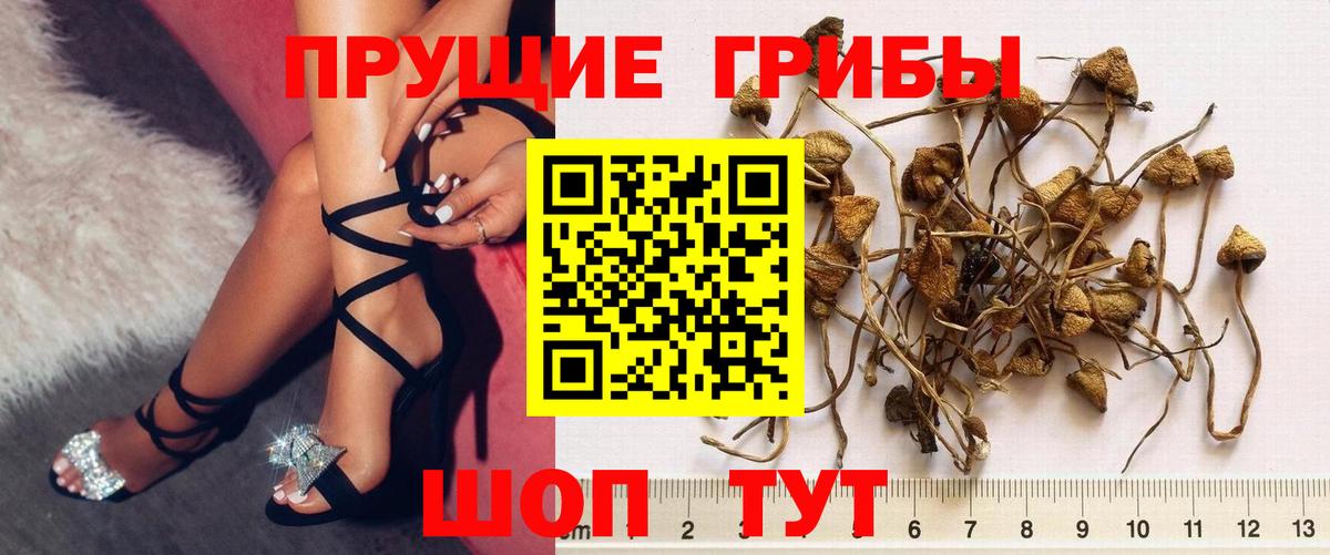 Шахты  Псилоцибиновые грибы мухоморы  купить наркотик  Вход с VPN 