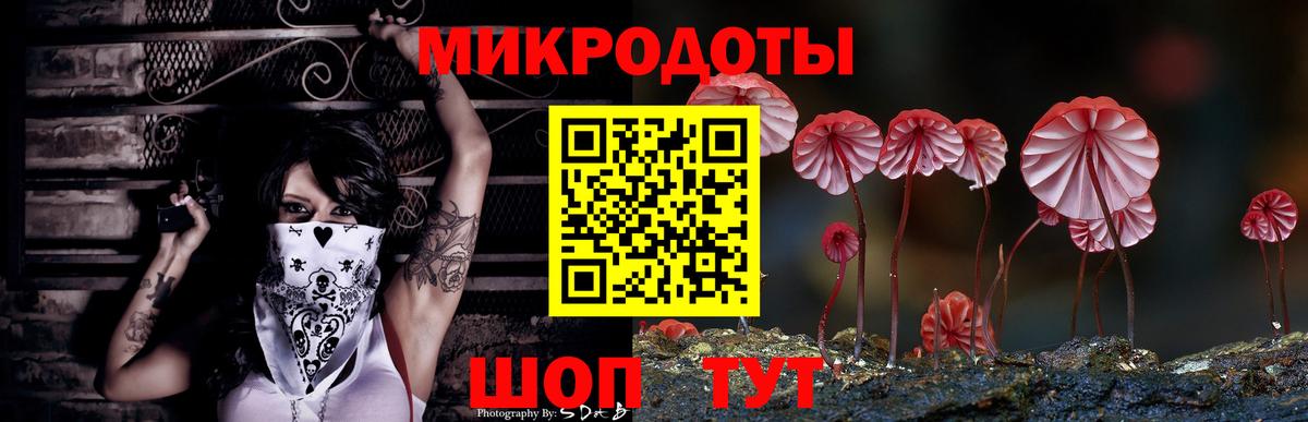 Галлюциногенные грибы прущие грибы Шахты
